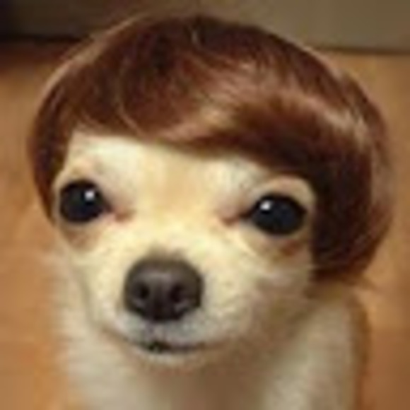 Meet your Posher, Drew - Picture 1 of 1